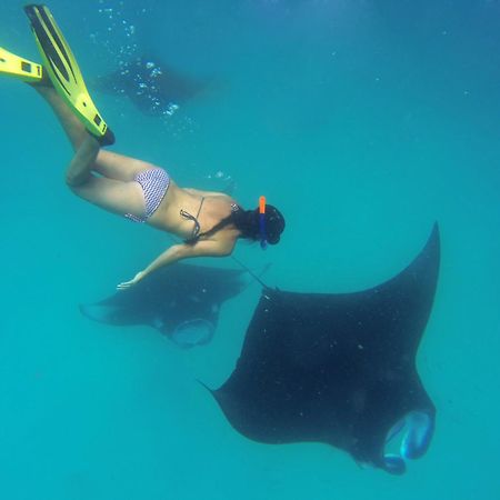 Hanifaru Transit Inn Dharavandhoo Exteriör bild