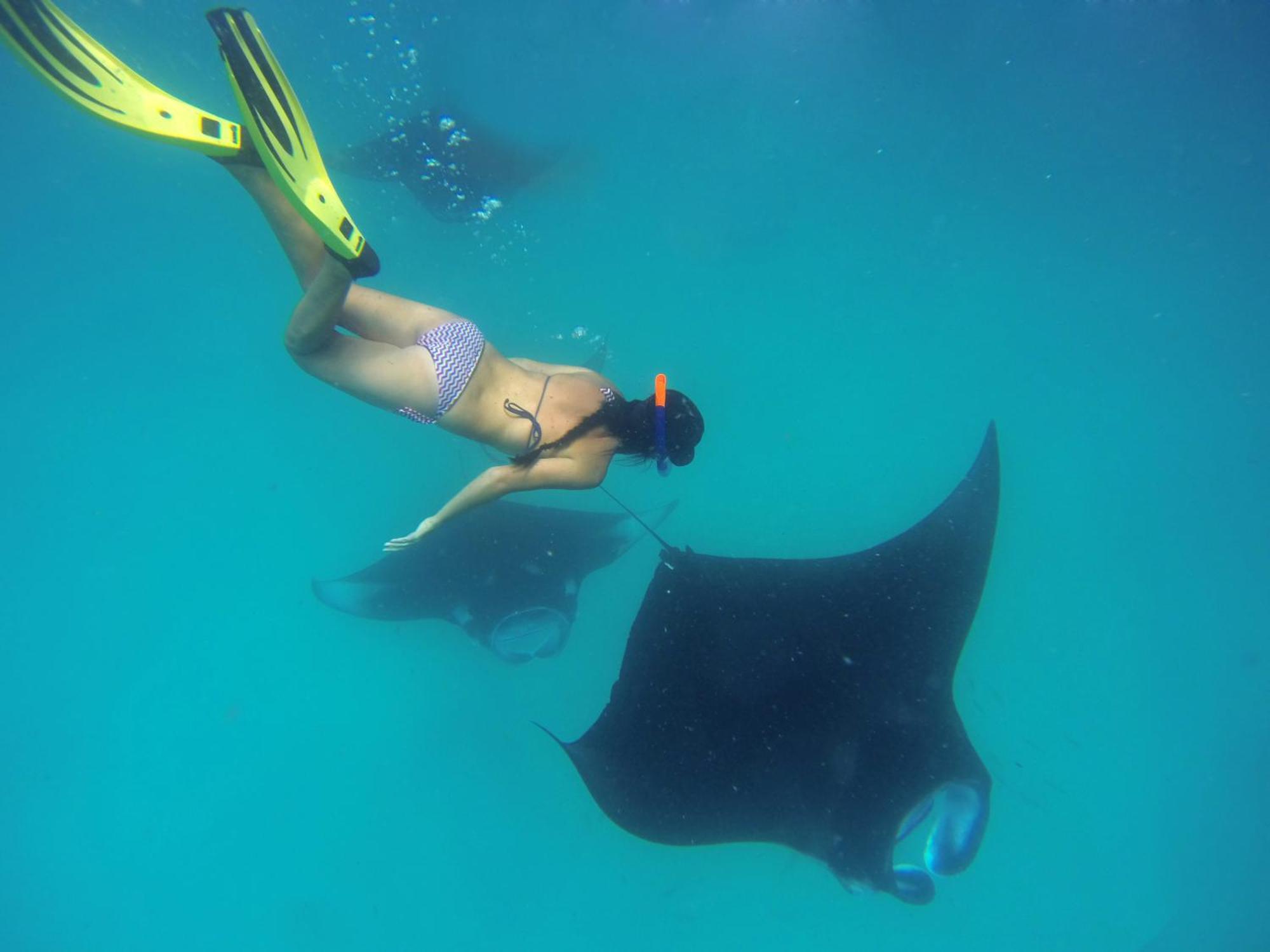 Hanifaru Transit Inn Dharavandhoo Exteriör bild