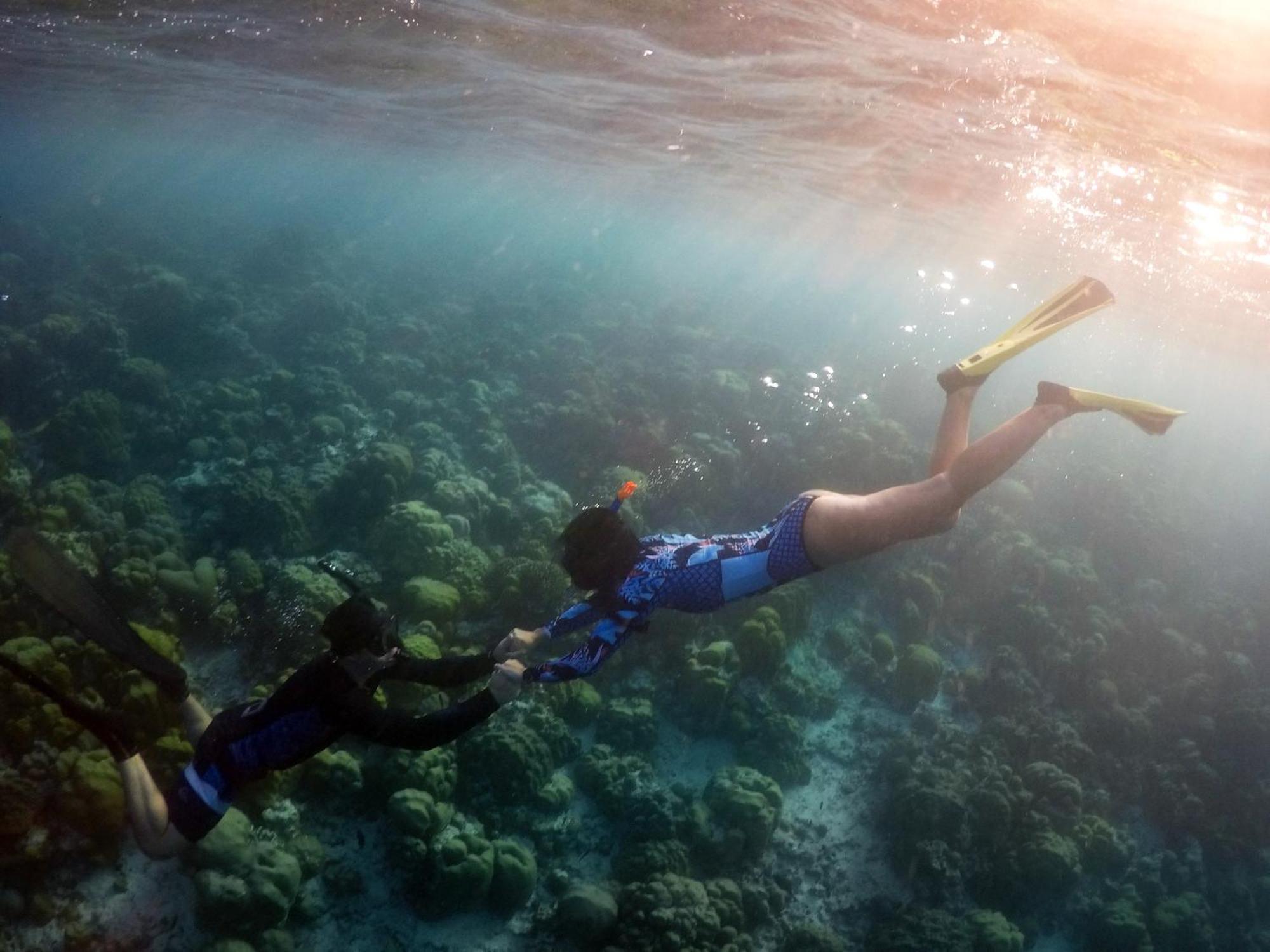Hanifaru Transit Inn Dharavandhoo Exteriör bild