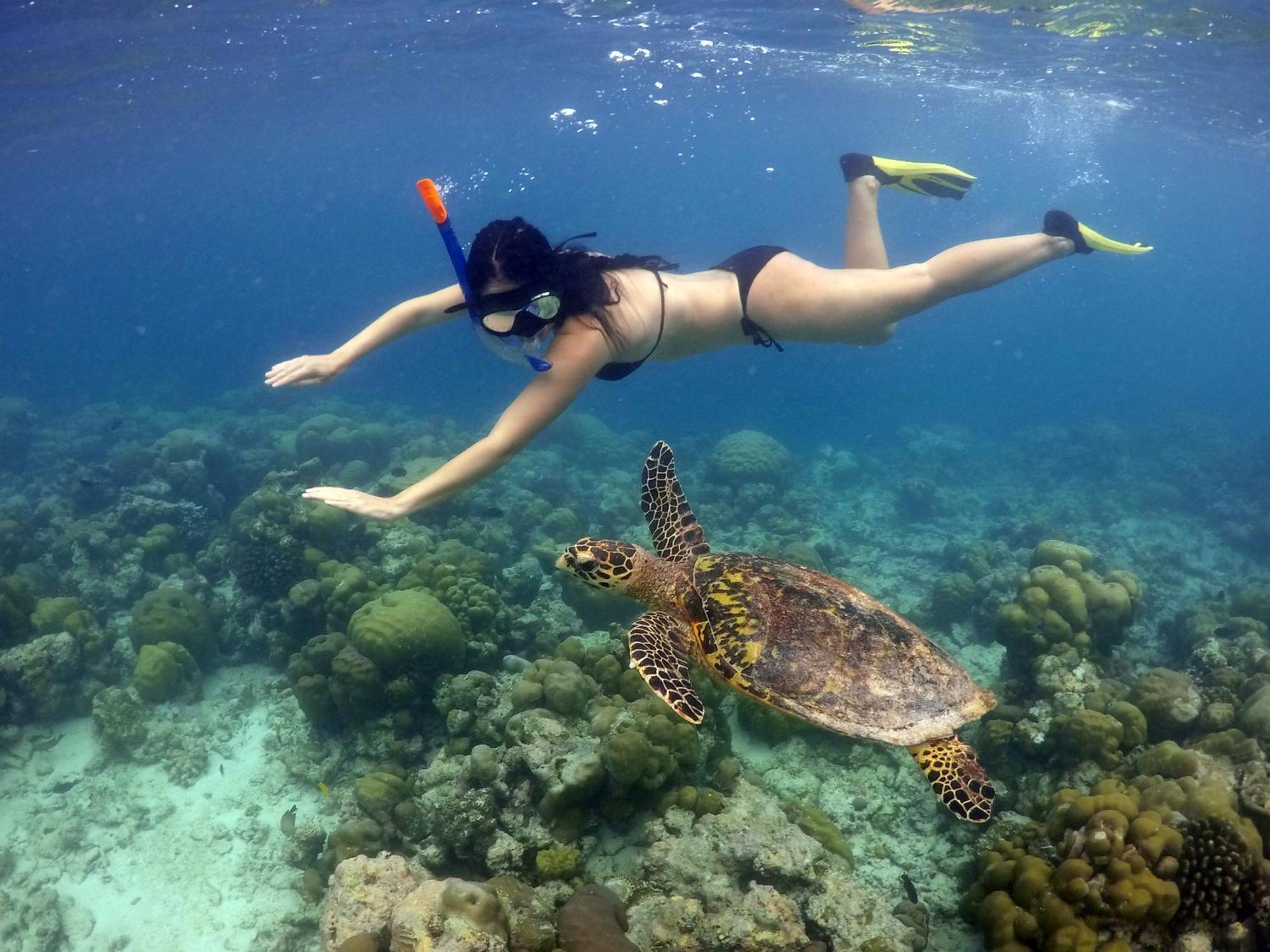 Hanifaru Transit Inn Dharavandhoo Exteriör bild