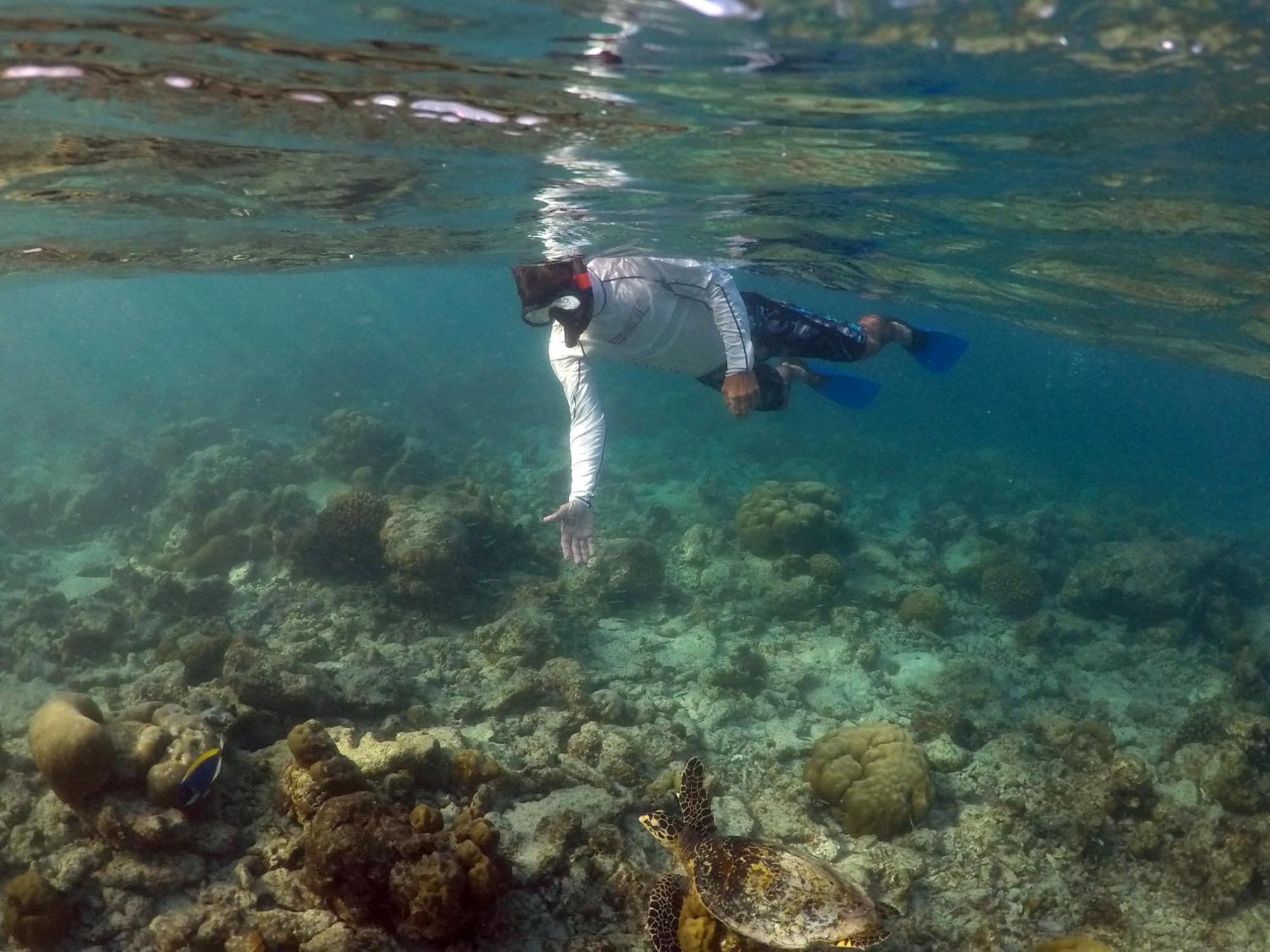 Hanifaru Transit Inn Dharavandhoo Exteriör bild